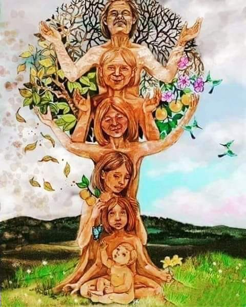 Constelaciones Familiares